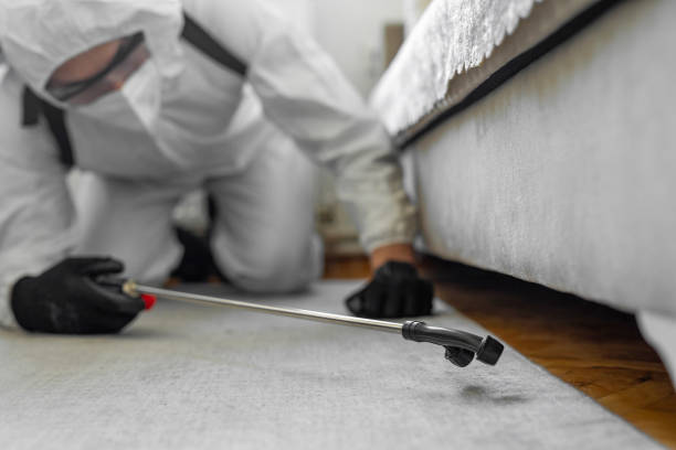 Professional Ant Control technician working in Talahi Island, GA