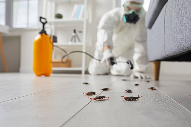 Trusted Cockroach Control service in Talahi Island, GA - Nex Pest Control